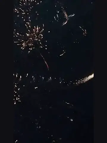 Capa de Dinheiro, Robôs e um Feliz 4 de Julho