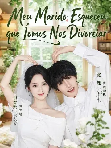 Capa de Meu Marido Esqueceu que Íamos nos Divorciar