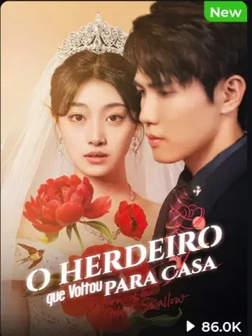 Capa de O Herdeiro que Voltou para Casa