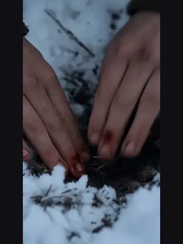 Capa de Sangue Divino: o Herdeiro do Olimpo