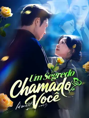 Capa de Um Segredo Chamado Você
